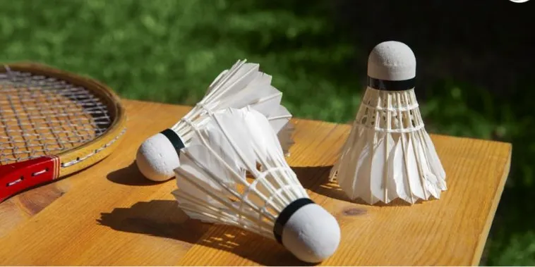 Bật Mí Cách Chơi Cá Cược Cầu Lông Tại Oppa888 Thắng Lớn