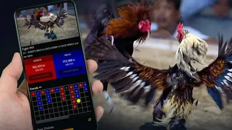 Khám Phá Sảnh Đá Gà Oppa888 Sôi Động Và Hấp Dẫn